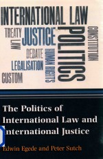 The Politics of International Law and International Justice