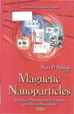 Magnetic nanoparticles synthesis