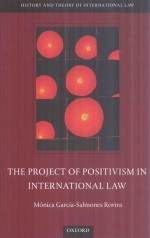 The Project of Positivism in International Law