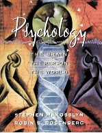 PSYCHOLOGY   THE BRAIN