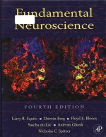 fundamental neuroscience fourth edition