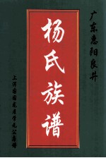 广东惠阳良井杨氏族谱  上洋围围龙屋学元公房谱