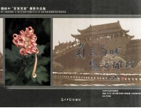 菊花菊城  魅力开封  魏振中“百菊百景”摄影作品集