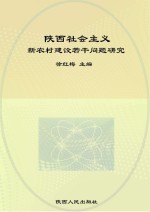 陕西社会主义新农村建设若干问题研究