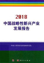 2018中国战略性新兴产业发展报告