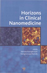 Horizons in clinical nanomedicine