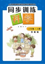 同步训练：苏教版  科学  六年级  上