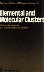 ELEMENTAL AND MOLECULAR CLUSTERS: PROCEEDINGS OF THE 13TH INTERNATIONAL SCHOOL