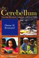 the cerebellum learning movement