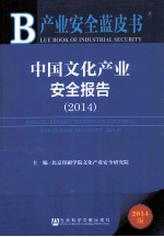 中国文化产业安全报告  2014