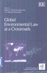 Global Environmental Law at A Crossroads