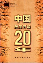 中国改革开放20年