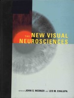 the new visual neurosciences