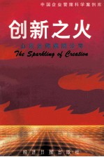 创新之火  山东金辉集团公司