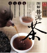 图解普洱茶  爱茶人必备的入门级识普洱、鉴普洱茶指南