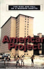 AMERICAN PROJECT