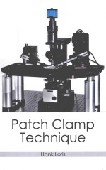 Patch clamp technique