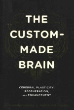 The custom-made brain cerebral plasticity