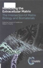 Mimicking the extracellular matrix the intersection of matrix biology and biomaterials