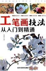 工笔画技法入门到精通  零基础初学者工笔人物画法  中国画技法教程