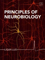 principles of neurobiology