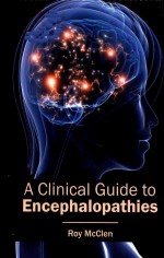 A Clinical Guide to Encephalopathies