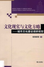 文化现实与文化方略  城市文化建设调研规划