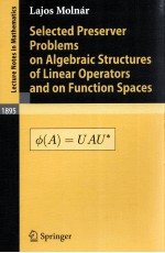 SELECTED PRESERVER PROBLEMS ON ALGEBRAIC STRUCTURES OF LINEAR OPERTORS AND ON FUNCTION SPACES