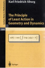 THE PRINCIPLE OF LEAST ACTION IN GEOMETRY AND DYNAMICS