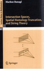 INTERSECTION SPACES