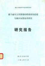 基于破坏力学原理的桥梁损伤机理与维护加固技术研究  研究报告