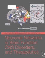 Neuronal networks in brain function