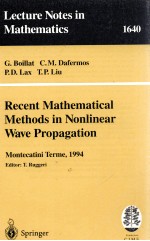 RECENT MATHEMATICAL METHODS IN NONLINEAR WAVE PROPAGATION