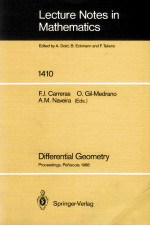 LECTURE NOTES IN MATHEMATICS 1410: DIFFERENTIAL GEOMETRY