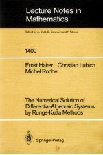 LECTURE NOTES IN MATHEMATICS 1409: THE NUMERICAL SOLUTION OF DIFFERENTIAL ALGEBRAIC SYSTEMS BY RUNGE