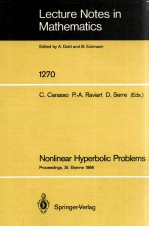 LECTURE NOTES IN MATHEMATICS 1270: NONLINEAR HYPERBOLIC PROBLEMS