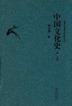 现代贵州学术精品丛书  中国文化史  上