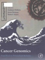 Cancer genomics from bench to personalized medicine