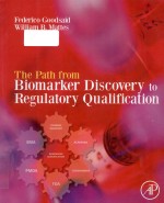 The path from biomarker discovery to regulatory qualification