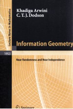 INFORMATION GEOMETRY