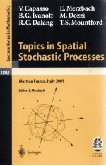 TOPICS IN SPATIAL STOCHASTIC PROCESSES