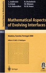 MATHEMATICAL ASPECTS OF EVOLVING INTERFACES