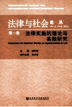 法律实施的理论与实践研究