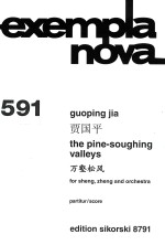 exempla nova  591  the pine-soughing valleys  for sheng  zheng and orchestra