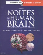 Nolte's The human brain an introduction to its functional anatomy 7th edition