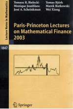 PARIS-PRINCETON LECTURES ON MATHEMATICAL FINANCE 2003