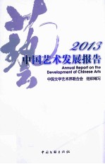 中国艺术发展报告  2013