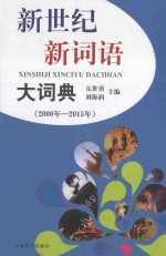 新世纪新词语大词典  2000年-2015年