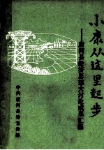 小康从这里起步  唐河县经济思想大讨论成果汇编