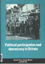 POLITICAL PARTICIPATION AND DEMOCRACY IN BRITAIN